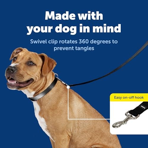 PetSafe Nylon Dog Leash Strong, Durable, Traditional Style Lead with Easy to Use Bolt Snap for Small, Medium and Large Dogs 3/8" x 6', Black