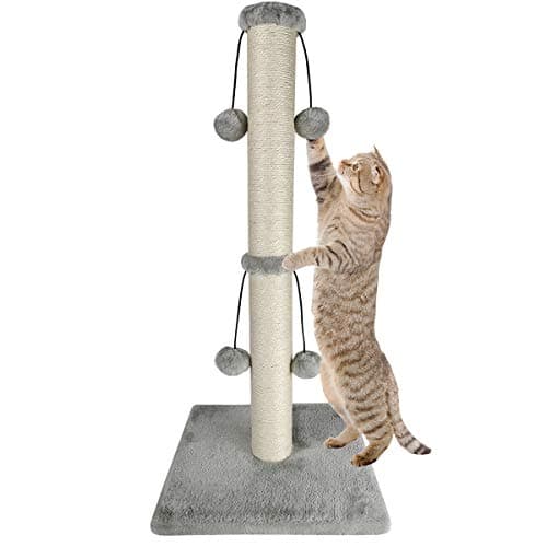 Dimaka 29'' Cat Scratching Post Review: A Vet's Honest Take