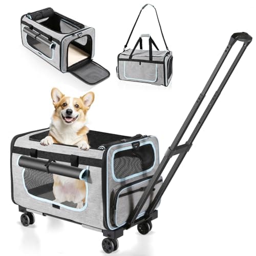 Wheelive Pet Carrier Med Hjul – Test och Omdöme 2025