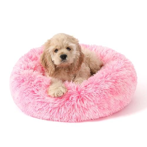 NOYAL Calming Donut Cat Bed Review – Is It Worth It?