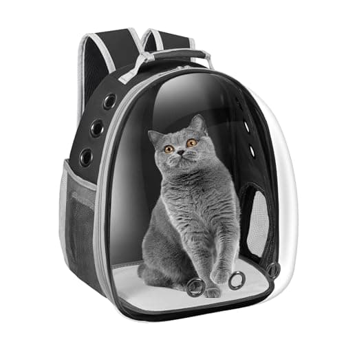 Sac de Transport pour Chat Dorphy : Mon Test Complet du Sac à Dos Capsule Spatiale