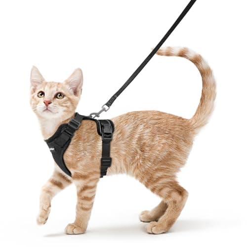 rabbitgoo Kattsele Escape Proof – Är Den Värt Pengarna?