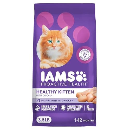 IAMS Proactive Health Kattfoder för Kattungar – Recension & Omdöme
