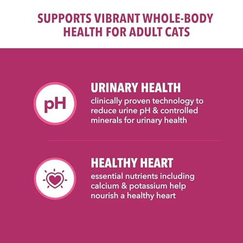 IAMS Proactive Health Dry Cat Food, Urinary Tract Health, Adult Cat Food Dry Recipe with Chicken, 7 lb. Bag
