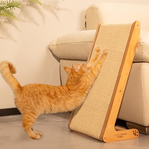 CHEERHOME Pets Sisal Cat Scratcher Ramp Review (2024)