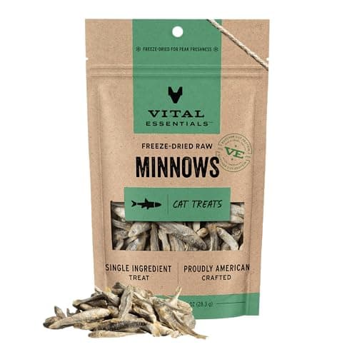 Vital Essentials Frystorkade Minnows Kattgodis – Är De Värda Det?