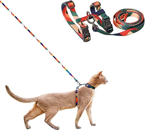pidan Kattsele Recension – Lätt Och Rymmsäker Selen För Katter