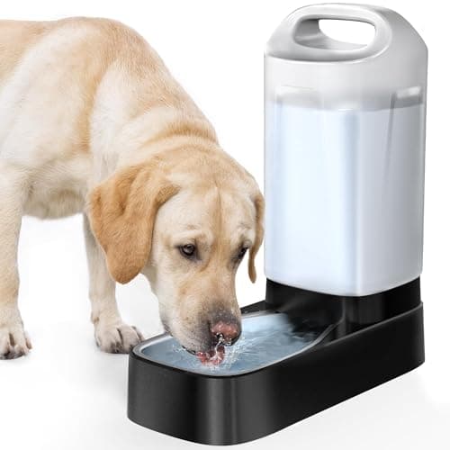 PETNF Gravity Water Dispenser Review: Reliable Hydration for Multi-Pet Homes