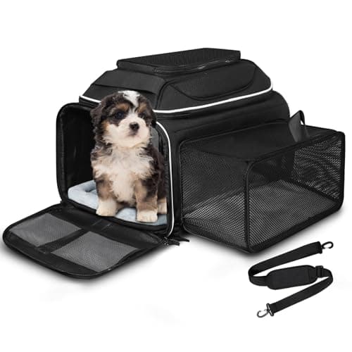 Petskd Pet Carrier Review – Airline Approved Bur för Katter och Små Hundar