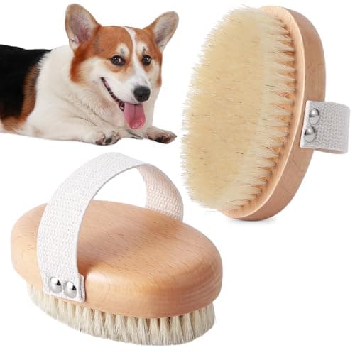 Myselect Boar Bristle Cat Brush Review: Gentle Daily Grooming Tool