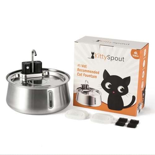 KittySpout Cat Water Fountain Review – Is It Worth the Hype?