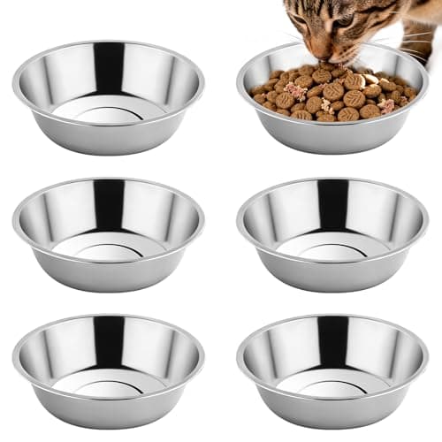 Tifanso Stainless Steel Cat Bowls Review – Whisker-Friendly?