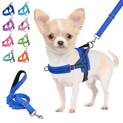 Lukovee No Pull Hundegeschirr Test: Mein Praxisbericht