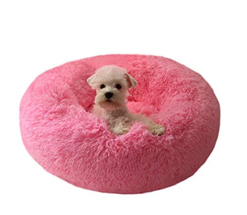 Plüsch Katzenbett Test 2024 – BODISEINT Donut Liegebett Erfahrungen