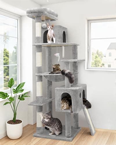 Globlazer Heavy Duty Cat Tree 70 tum – Test & Recension 2024