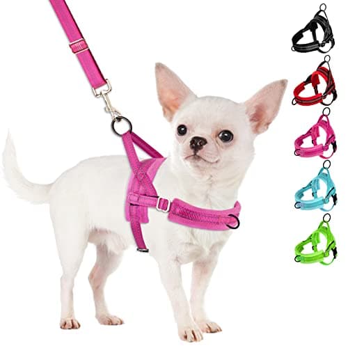 SlowTon Hundegeschirr Test: No Pull Set für kleine Hunde im Check