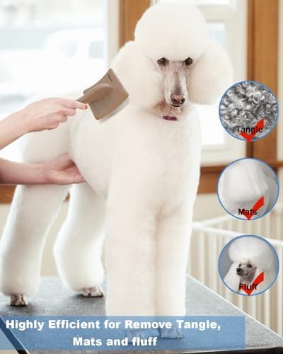 Petqueen Dog Slicker Brush for Large Dogs, Professional Doodles Brush for Poodles, Goldendoodles and Labradoodles - Easy to Remove Tangles, Mats and Fluff - 3.8"x3.2" Head, 8" Wood Body