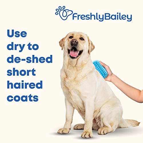 Rubber Curry Brush Dog for Short Haired Dogs - Soft & Gentle Deshedding Brush - Use Wet as Bath Brush or Dry for Grooming Loose Hair