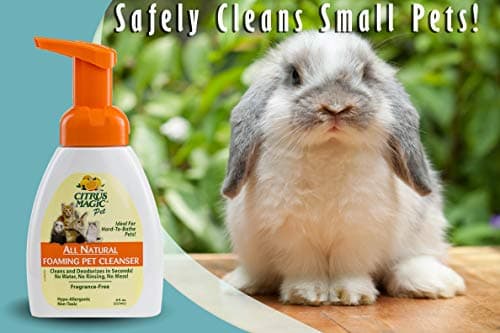 Citrus Magic Pet Rinse-Free Pet Shampoo, 8-Fluid Ounce