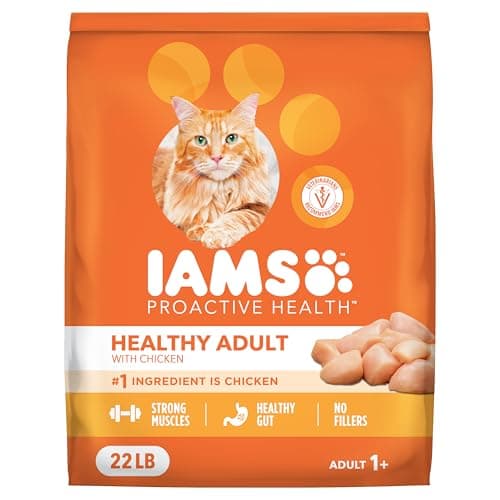 IAMS Proactive Health Dry Cat Food Review: Honest Verdict for Adult Cats