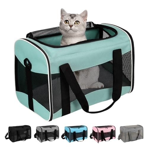 Sac de Transport Chat Top tasta : Test et Avis Complet