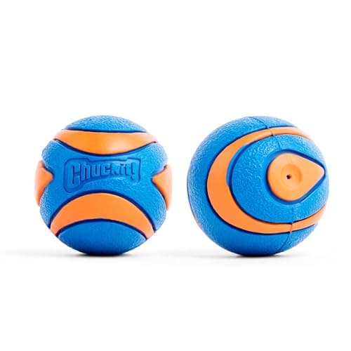 Chuckit! Ultra Squeaker Ball Review: Durable Fetch Toy Worth It?