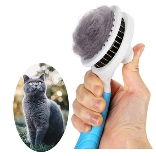 itPlus Självrensande Slicker Brush – Är den Bäst för Kattägare?