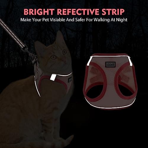 Betmaypet Cat Harness and Leash Set, Soft and Breathable Vest with Reflective Strip, Escape Proof Kitten Harness, Easy to Wear for Cats Walking and Traveling (Purple, M)