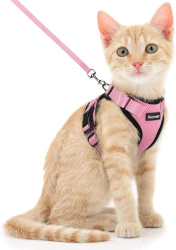 Dooradar Kattenharnas Test – Veilig, Escape-Proof Vest voor Katten