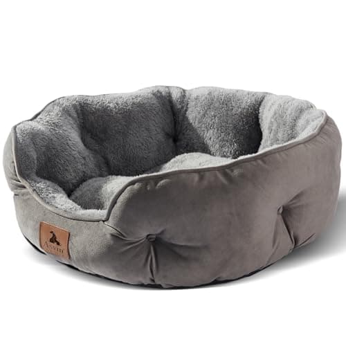 Asvin Hundebett Test 2024: Sanftes Katzenbett im Check