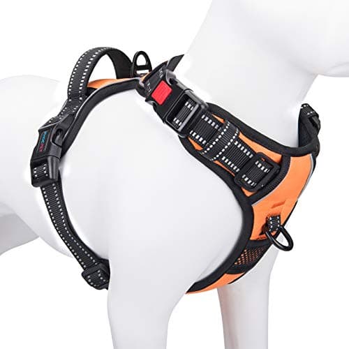 PHOEPET No Pull Hundegeschirr Test – Orange Gr. S für kleine Hunde