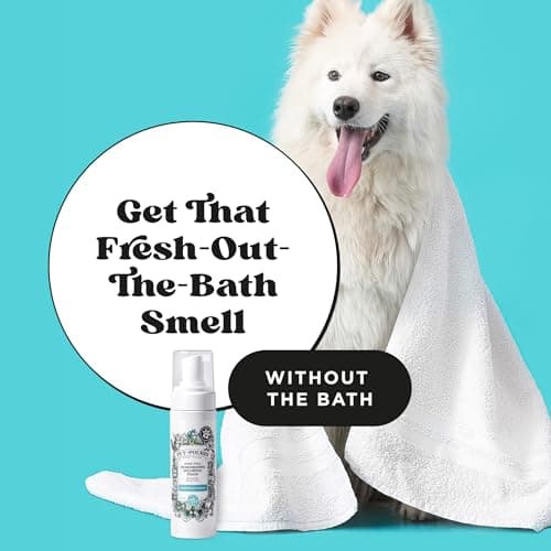 Poo-Pourri Rinse-Free Deodorizing Dry Shampoo for Dogs & Cats – Moisturizing Skin & Coat Soothing Formula - Plant Based Ingredients – Pineapple, Jasmine & Pear – No Rinse Foam Shampoo for Pet Odor