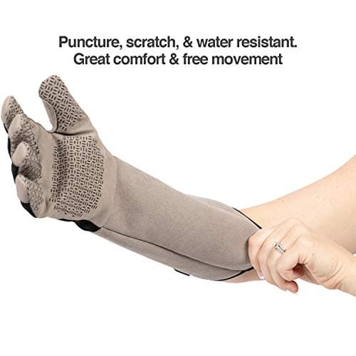 PetFusion Multipurpose Pet Glove for Grooming, Trips to Vet, Handling. [Puncture & Scratch Resistant, Water Resistant]. 12 Month Warranty for Manufacturer Defects Grey