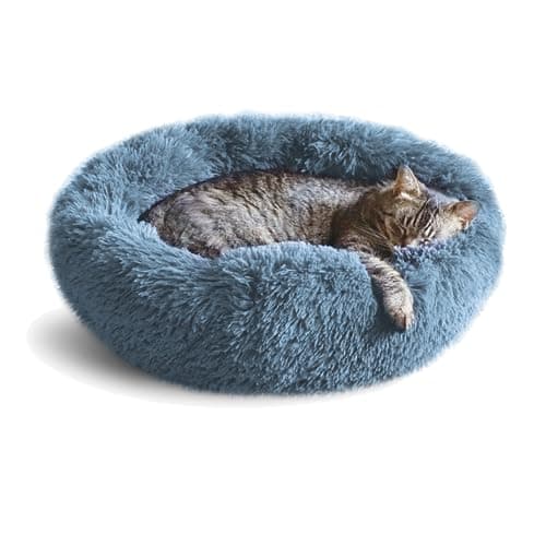 Whiskers & Friends Katzenbett im Test 2025 – Lohnt es sich?