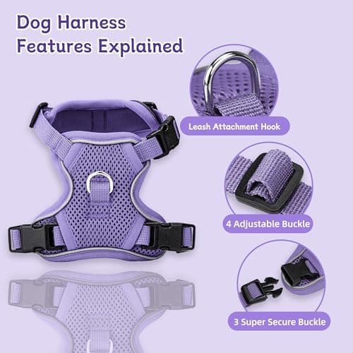 Ychpaw Small Dog Harness and Leash Set, Reflective Soft Breathable Mesh Vest, 3 Buckles, Adjustable Neck and Chest,Step in Dog Harness for Walking, Running, Training, Purple, S