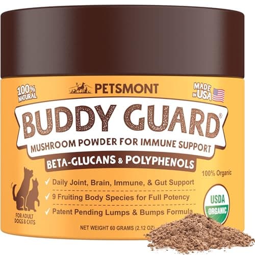 Petsmont Buddy Guard: Análisis Completo del Suplemento de Hongos para Mascotas