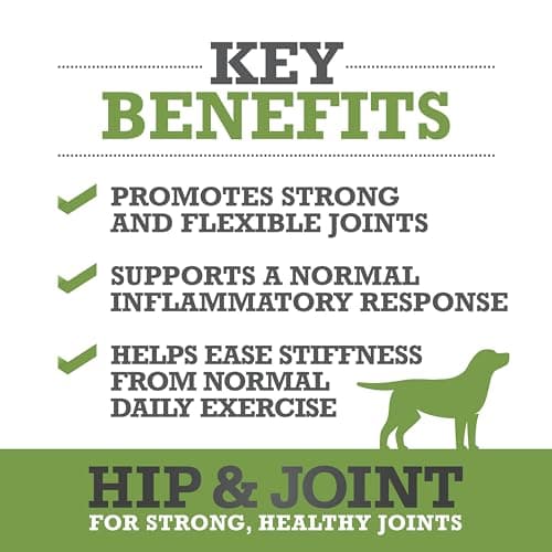 WINPRO Hip & Joint Supplement for Dogs - Plasma Powered Soft Chews for Joint Health & Mobility – Fast-Acting with Collagen & Natural Ingredients for Dogs of All Breeds – 60 Chews