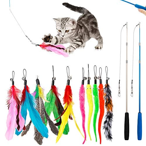 JIARON Cat Wand Toy Review – Retractable Feather Set Tested