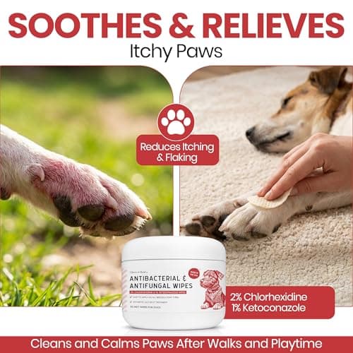Soothing Dog Paw Wipes for Itchy Skin - Antibacterial and Antifungal Formula With Chlorhexidine and Ketoconazole - Daily Paw Cleaning Alternative to Shampoos - All Breeds | 50 Count | Made in the USA