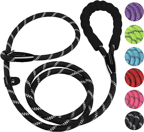 Laisse pour chien BOOEUDI 6 pieds : avis complet et test terrain
