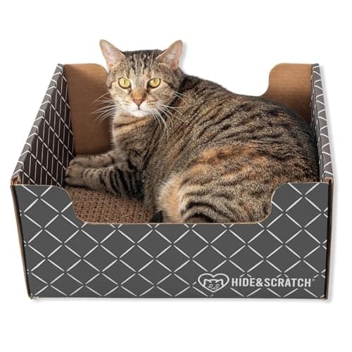 Grattoir Chat Carton Hide & Scratch : Test et Avis Complet