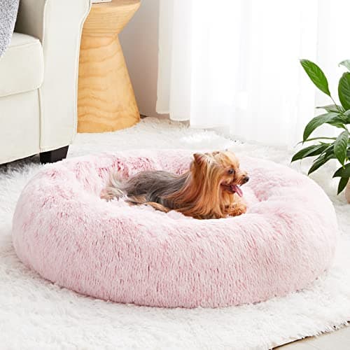 WNPETHOME Letto Calmant Gatto - Recensione Onesta 2024