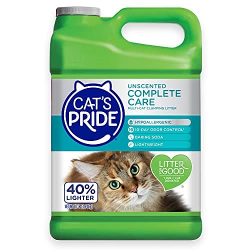 Cat's Pride Premium Lightweight : Mon Test Complet (2024)