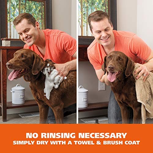 Wahl USA Pet Friendly Waterless No Rinse Shampoo for Animals - Coconut Lime Verbena Scent – Oatmeal Formula Cleans, Conditions, Detangles & Moisturizes Dogs Fur – 7.1 Oz - Model 820015A