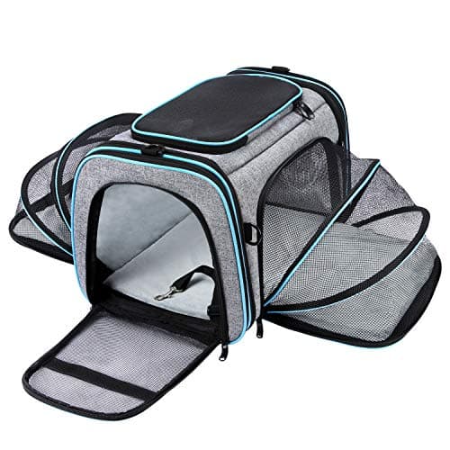 Airline Approved Pet Carrier Review: MASKEYON Large Soft Sided Expandable Carrier Tested