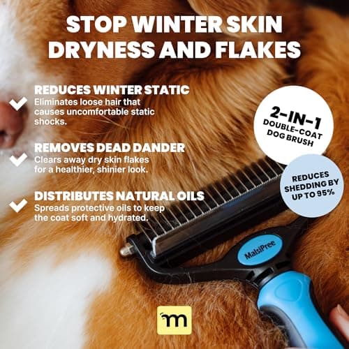 MalsiPree Dog Brush for Shedding - Large, Blue, 2-in-1 - Deshedding Dog Grooming Brush & Undercoat Rake with Dematting Comb for medium to Large Double Coated