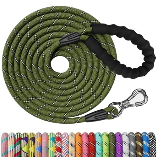 NTR Laisse de Dressage pour Chien 15 Pieds – Avis Complet 2025