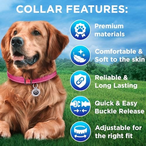 TECEUM Reflective Dog Collar – Hot Pink – M – Extra Soft Padding – Basic Nylon Pet Collar – Quick Release Buckle – Fits Small, Medium and Large Dogs, Puppies, Cats – ESA & Service Dog Options