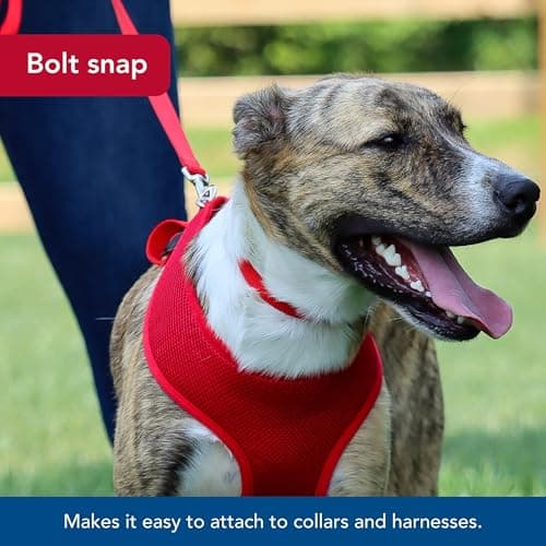 Coastal Pet Single-Ply Dog Leash - Sturdy Pet Leash - Comfortable & Stylish - Resists Fraying - Vibrant & Fade-Resistant Color - Neon Pink, 3/8" x 6'