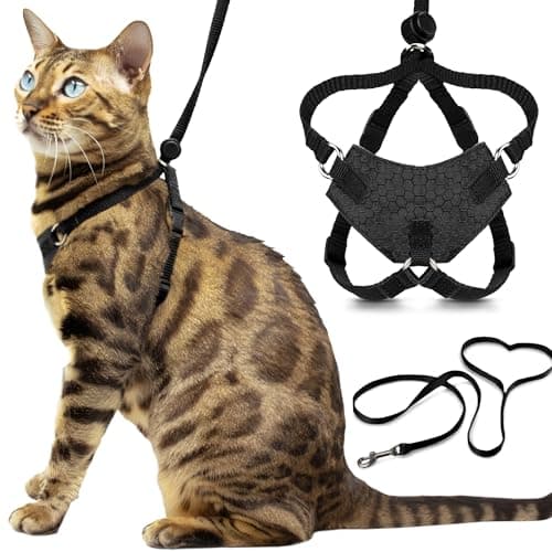 Houdini Arnés a Prueba de Escapes para Gato – OutdoorBengal Medium